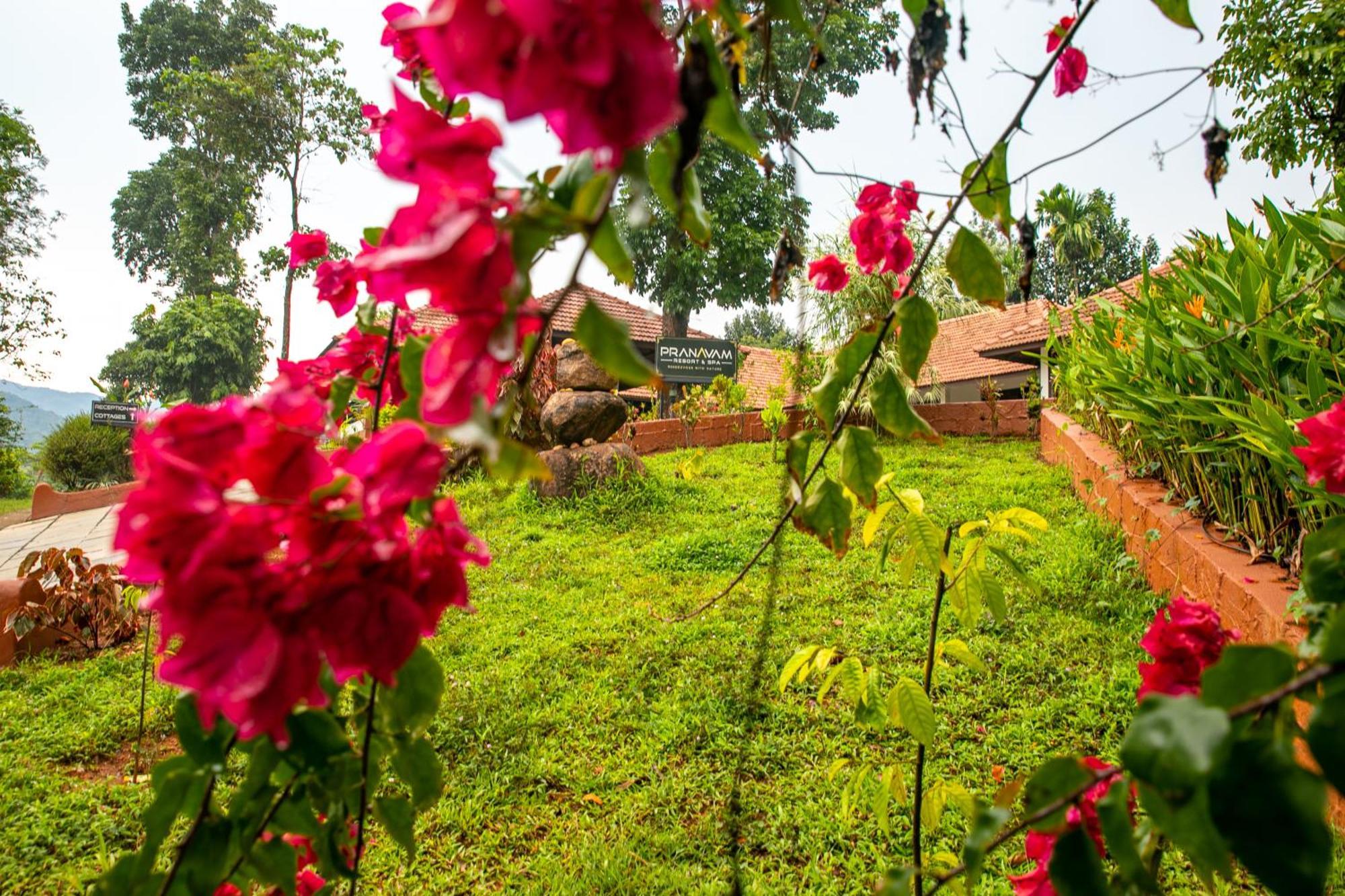 Pranavam Resort & Spa Tariyod Esterno foto