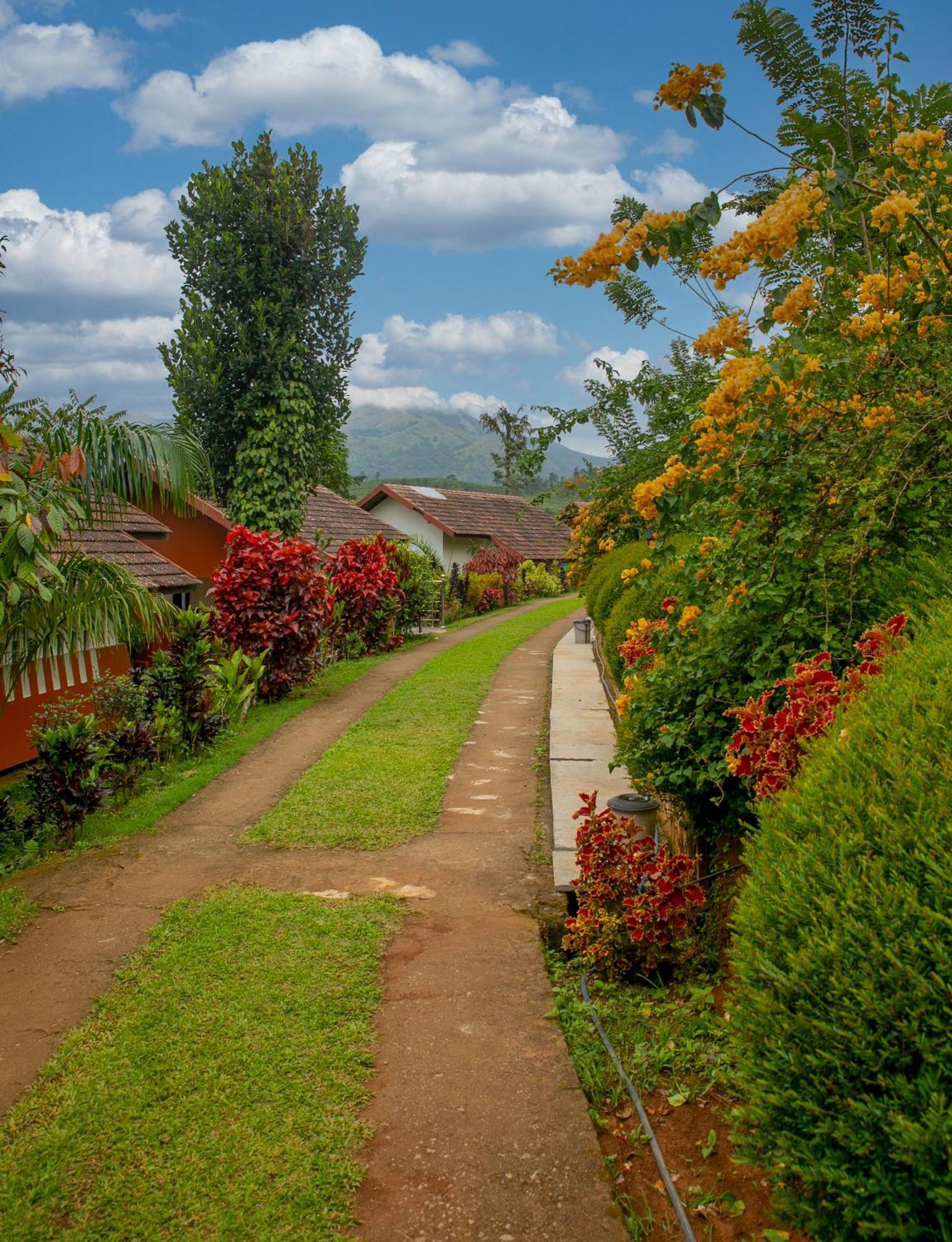Pranavam Resort & Spa Tariyod Esterno foto